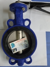 Van Bướm Tay Xoay ARV DN300